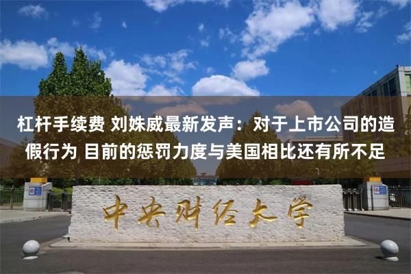 杠杆手续费 刘姝威最新发声：对于上市公司的造假行为 目前的惩罚力度与美国相比还有所不足