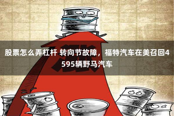 股票怎么弄杠杆 转向节故障，福特汽车在美召回4595辆野马汽车