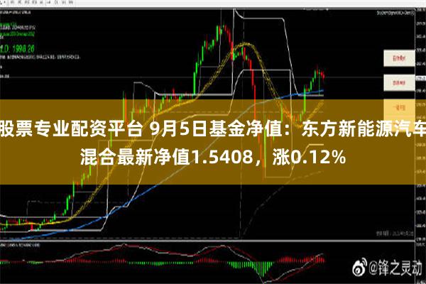 股票专业配资平台 9月5日基金净值：东方新能源汽车混合最新净值1.5408，涨0.12%