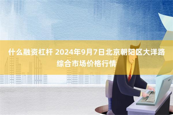 什么融资杠杆 2024年9月7日北京朝阳区大洋路综合市场价格行情