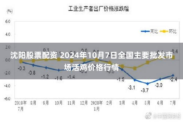 沈阳股票配资 2024年10月7日全国主要批发市场活鸡价格行情