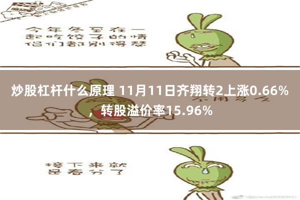 炒股杠杆什么原理 11月11日齐翔转2上涨0.66%，转股溢价率15.96%