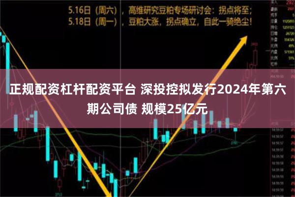 正规配资杠杆配资平台 深投控拟发行2024年第六期公司债 规模25亿元