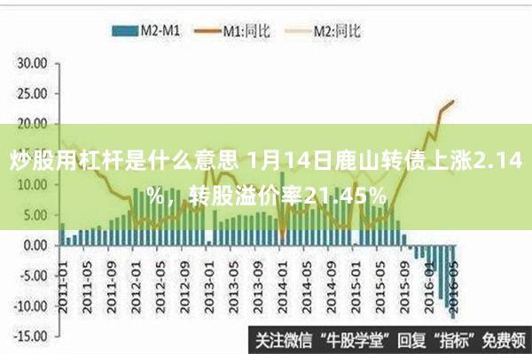 炒股用杠杆是什么意思 1月14日鹿山转债上涨2.14%，转股溢价率21.45%